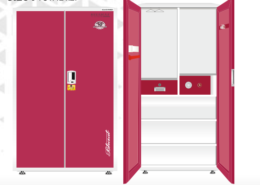 Bharat Almirah 2-Door